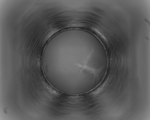 X0000091501025200709131846