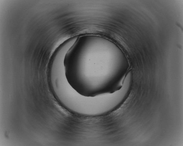 X0000091501026200709131846