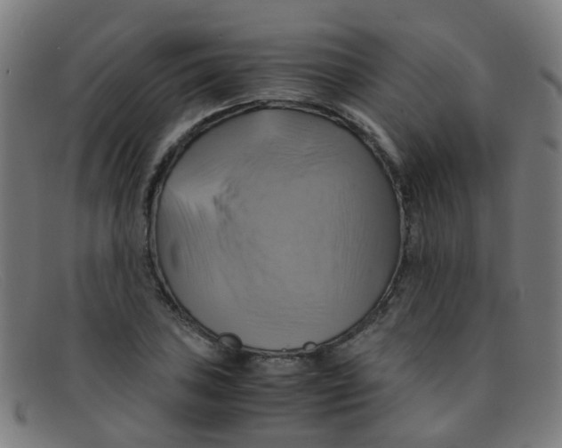 X0000091501027200709131846