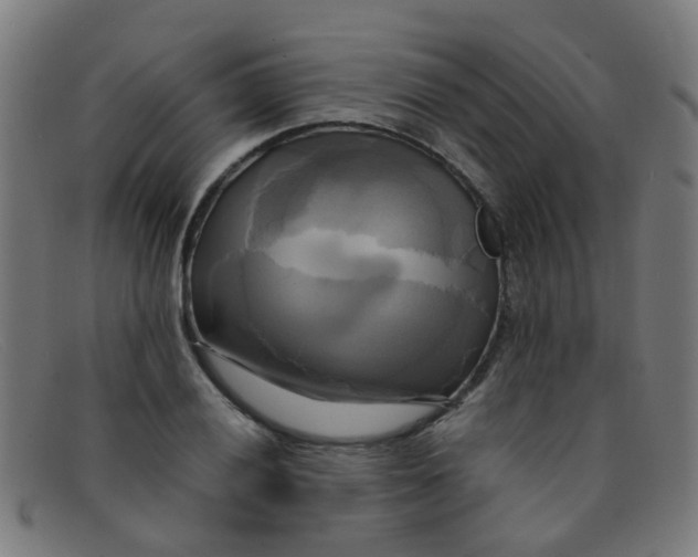 X0000091501028200709131846