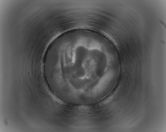 X0000091501029200709131846