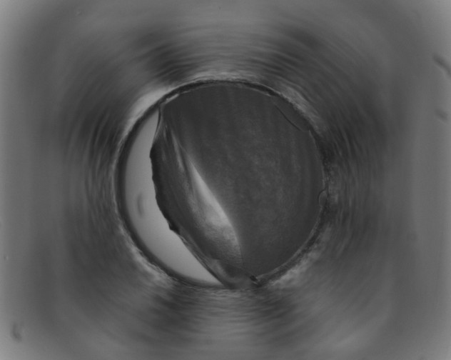 X0000091501030200709131846