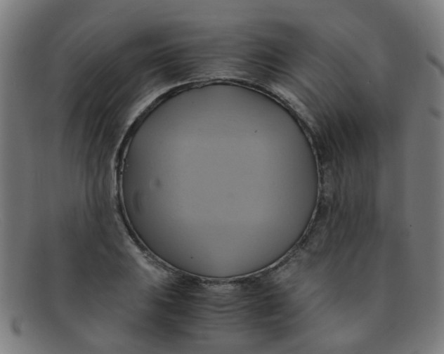 X0000091501031200709131846