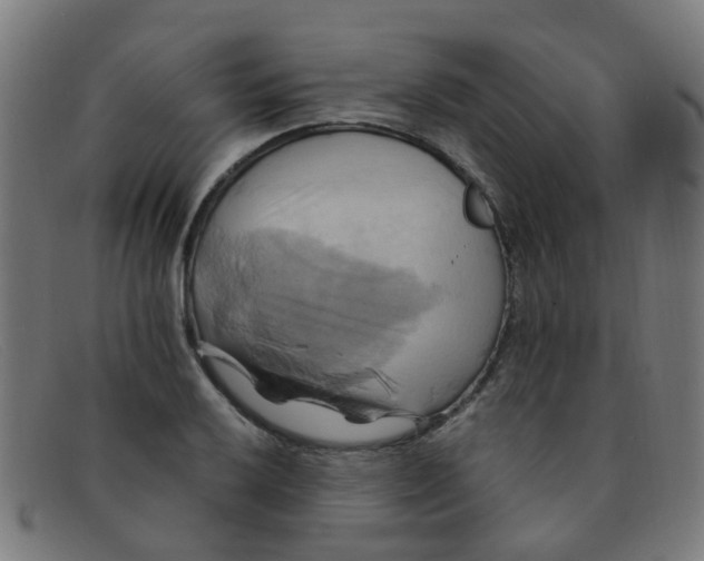 X0000091501032200709131846