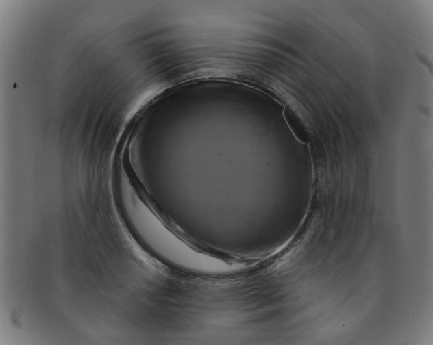 X0000091501034200709131846