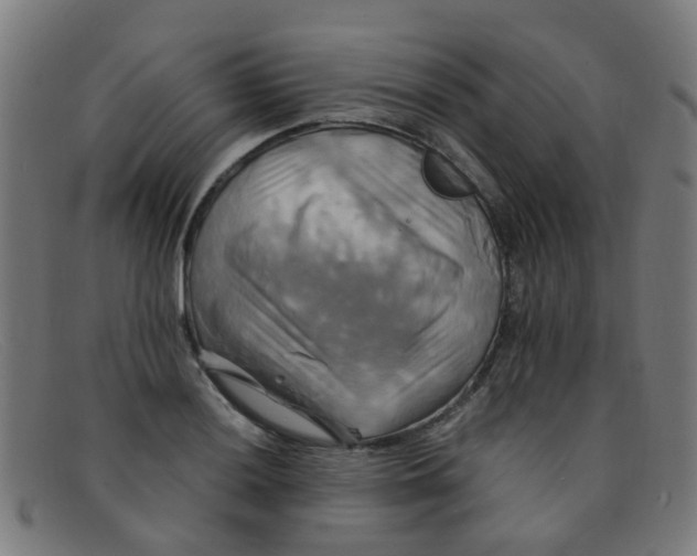 X0000091501036200709131846