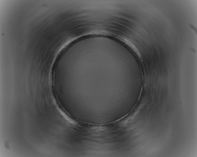 X0000091501037200709131846