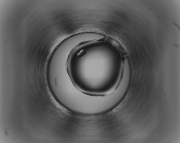 X0000091501038200709131846