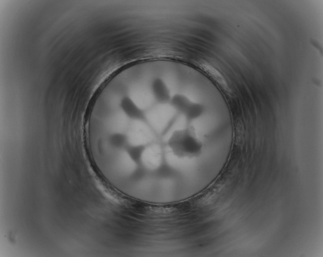 X0000091501039200709131846