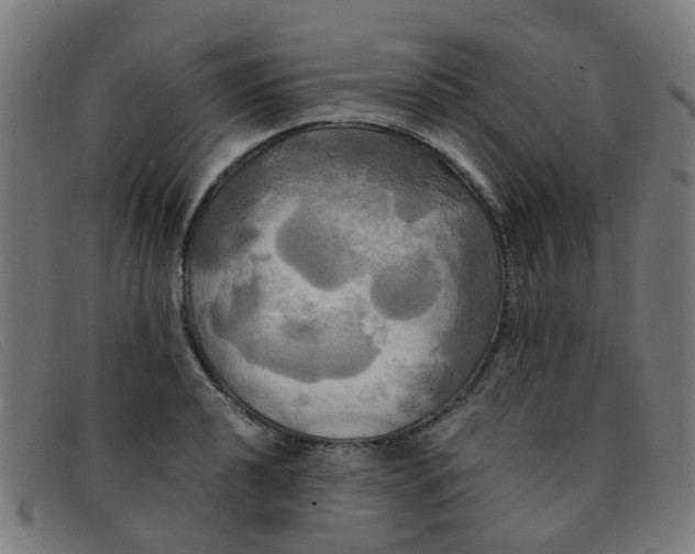 X0000091501040200709131846