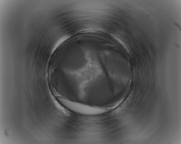 X0000091501042200709131846