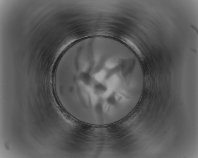 X0000091501043200709131846