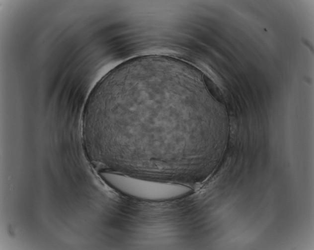 X0000091501044200709131846