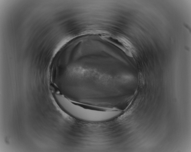 X0000091501046200709131846