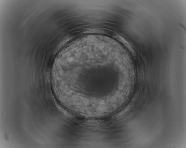 X0000091501049200709131846