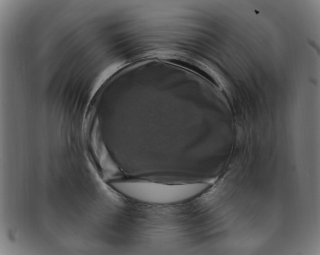 X0000091501050200709131846