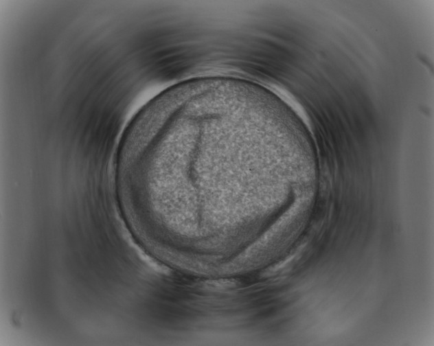 X0000091501053200709131846