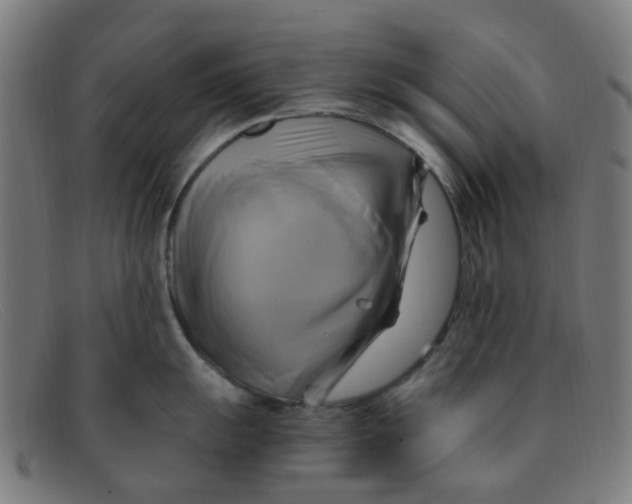 X0000091501055200709131846