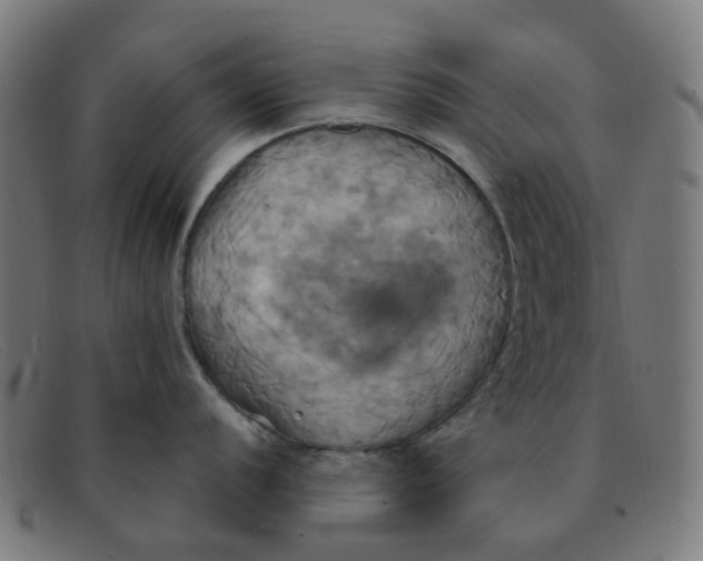 X0000091501056200709131846