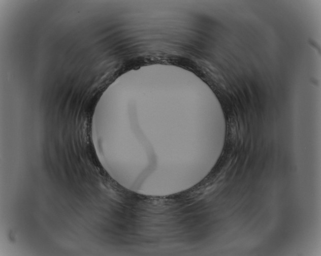 X0000091501060200709131846