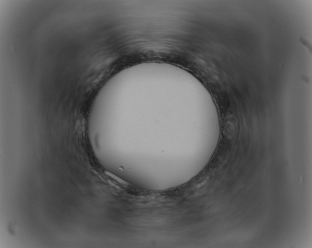 X0000091501061200709131846