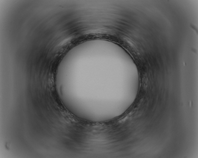 X0000091501062200709131846