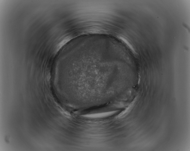 X0000091501065200709131846