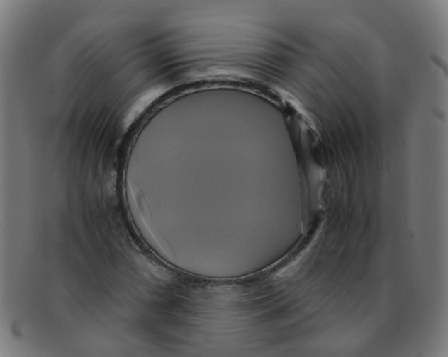 X0000091501066200709131846