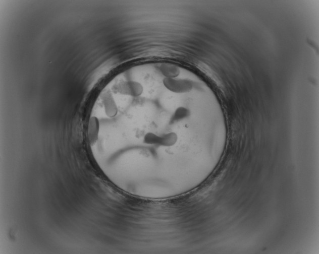 X0000091501067200709131846