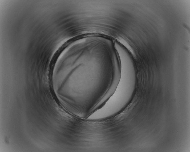 X0000091501068200709131846