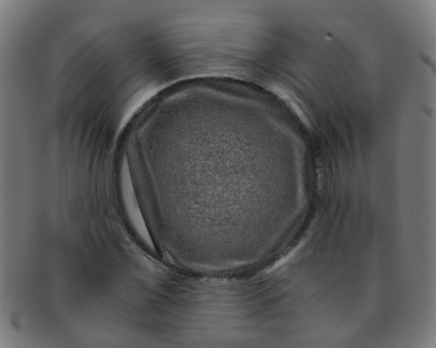 X0000091501069200709131846