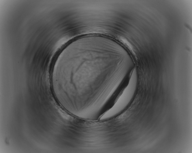 X0000091501072200709131846