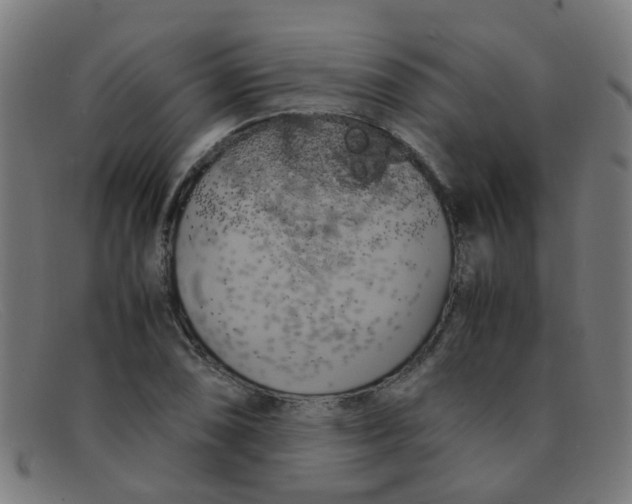 X0000091501074200709131846