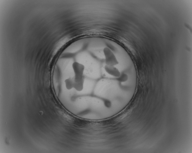 X0000091501075200709131846