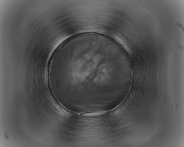 X0000091501076200709131846