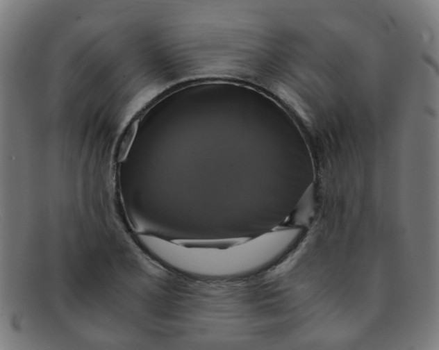 X0000091501077200709131846