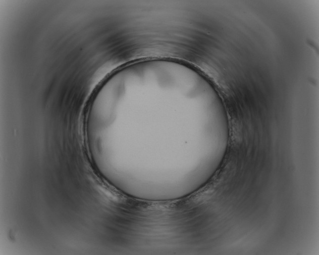 X0000091501078200709131846