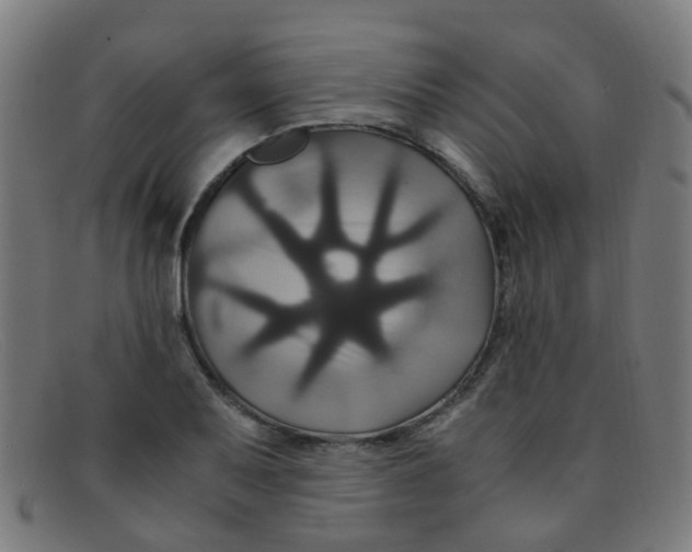 X0000091501079200709131846