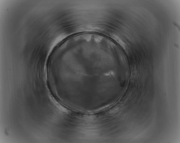 X0000091501080200709131846