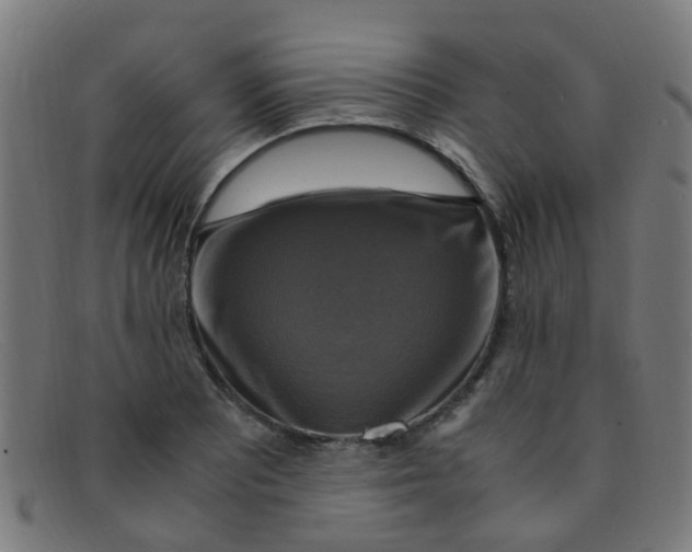 X0000091501081200709131846