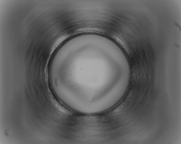 X0000091501082200709131846