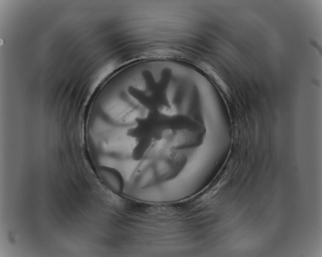 X0000091501083200709131846