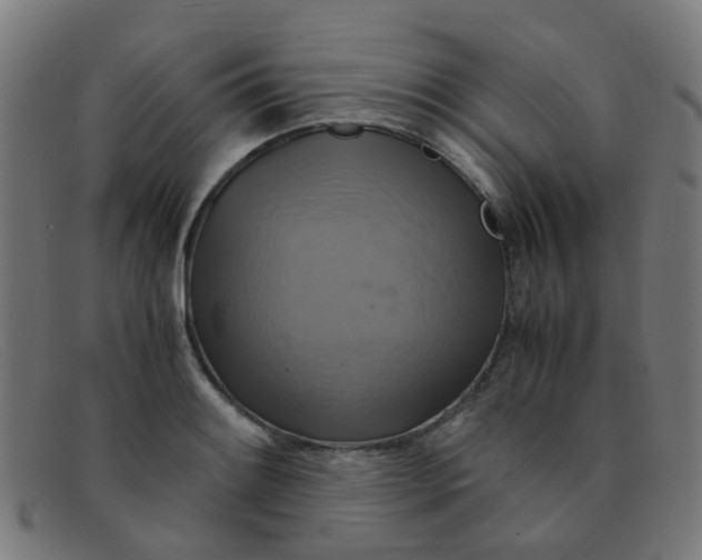 X0000091501084200709131845