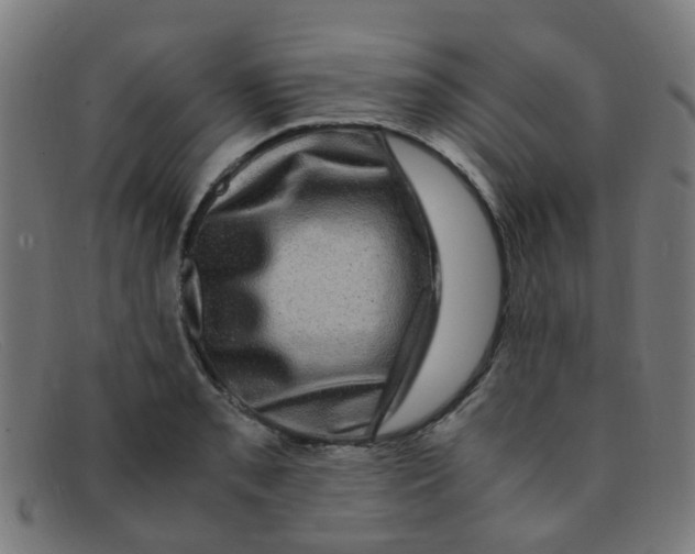 X0000091501085200709131845