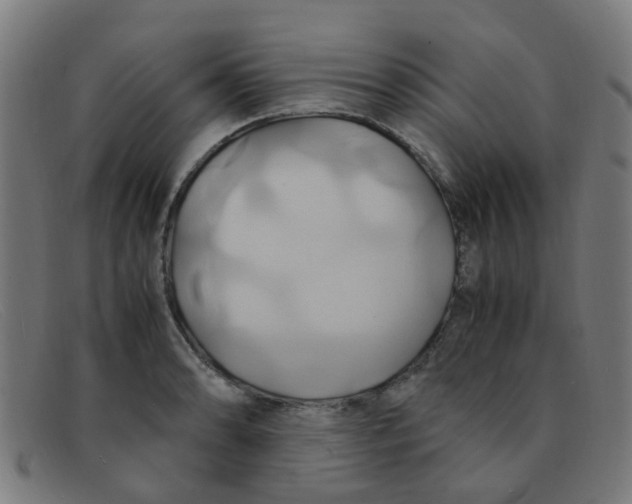 X0000091501086200709131845