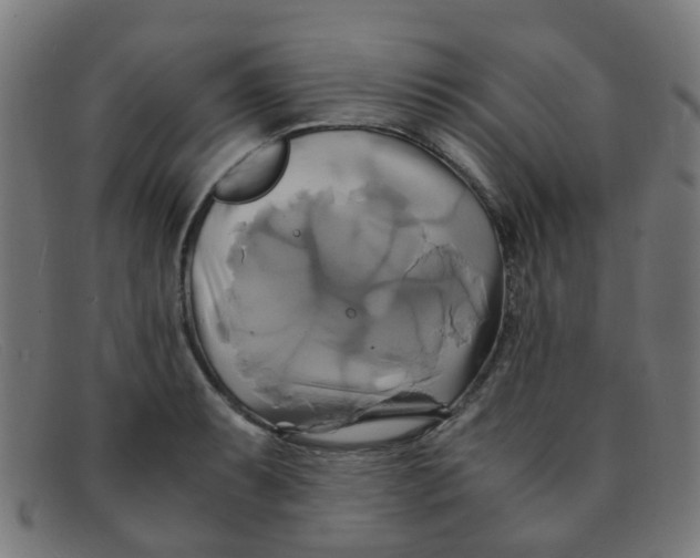 X0000091501087200709131845