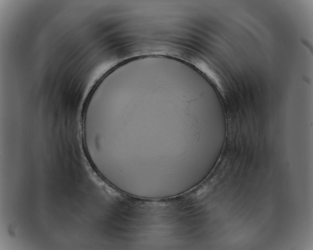 X0000091501088200709131845