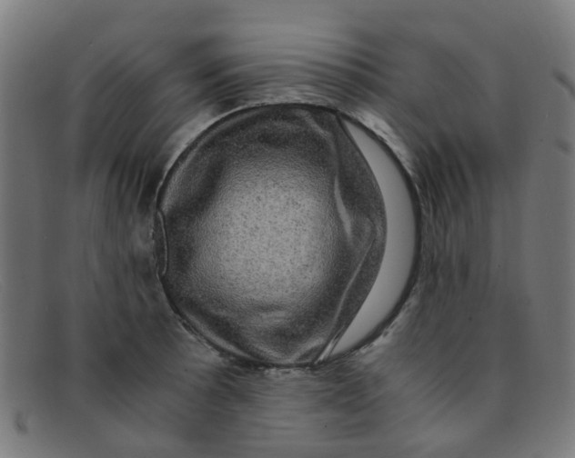 X0000091501089200709131845