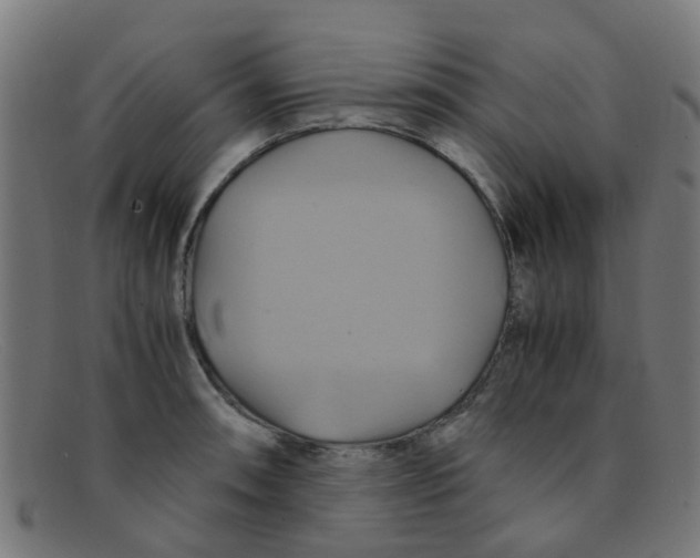 X0000091501090200709131845