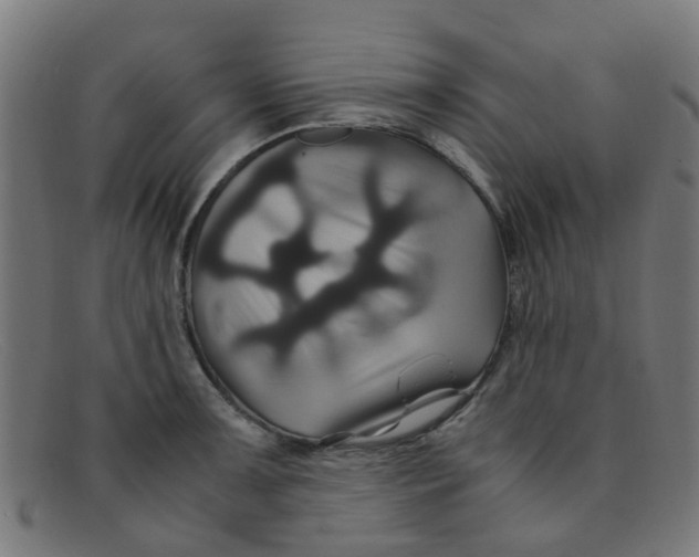 X0000091501091200709131845